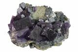 Cubic Fluorite, Galena and Sphalerite Association - Elmwood Mine #153331-3